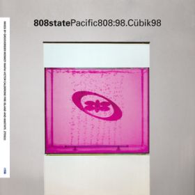 Pacific featD Grooverider (Groove Jeep Mix) / 808 State