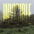 Ao - The Invisible EP / I[EAiY