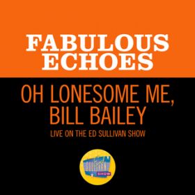 Oh Lonesome Me/Bill Bailey (Medley/Live On The Ed Sullivan Show, August 1, 1965) / The Fabulous Echoes