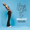 Ao - Year of the Ex (Welshy Remix) / Call Me Loop^Welshy