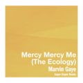 }[BEQC̋/VO - Mercy Mercy Me (The Ecology) (Super Duper Remix)