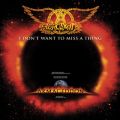 Ao - I Don't Want To Miss A Thing EP / GAX~X
