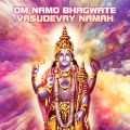 Om Namo Bhagwate Vasudevay Namah