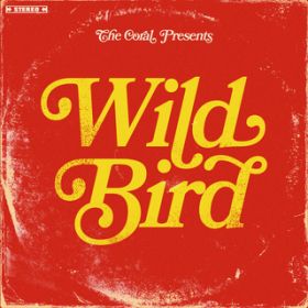 Ao - Wild Bird / UER[