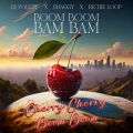 DJ Youcef/VM[/RICHIE LOOP̋/VO - Boom Boom Bam Bam (Cherry Cherry Boom Boom Remix)