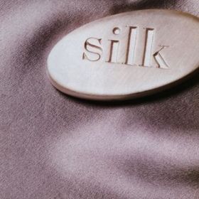 Because of Your Love / Silk