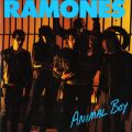 Ao - Animal Boy / Ramones
