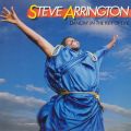Ao - Dancin' In The Key Of Life / Steve Arrington