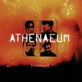 Athenaeumの曲/シングル - Flat Tire ( The Truth ) ( LP Version )