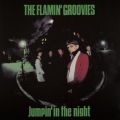 Ao - Jumpin' In The Night / Flamin' Groovies