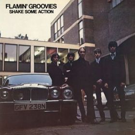 I Can't Hide / Flamin' Groovies