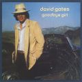 Ao - Goodbye Girl / David Gates