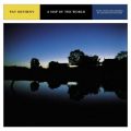 Pat Metheny̋/VO - A Map of the World