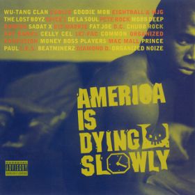 Ao - America Is Dying Slowly / Various Artists
