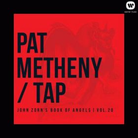 Ao - Tap: John Zorn's Book of Angels, VolD 20 / Pat Metheny