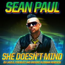 She Doesn't Mind (DJ Laszlo Radio Edit) / Sean Paul