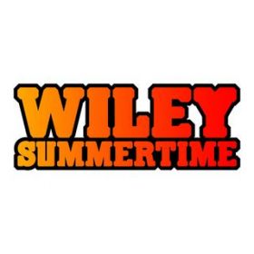 Summertime (Alex Gaudino Mix) / Wiley