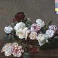 Ao - Power Corruption and Lies / New Order