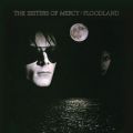 The Sisters Of Mercy̋/VO - Never Land (A Fragment)