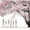 アルバム - 未来 Spring Package / コブクロ