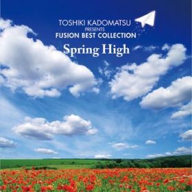 Ao - pqv[c FUSION BEST COLLECTION`SPRING HIGH / Various Artists