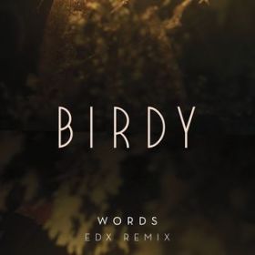Words (EDX Remix) / Birdy