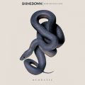 Shinedown̋/VO - How Did You Love (Acoustic)