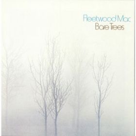 The Ghost / Fleetwood Mac