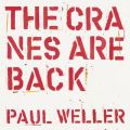 Paul Weller̋/VO - The Cranes are Back (Edit)