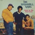 Ao - Livin' In The Fast Lane / The Sugarhill Gang