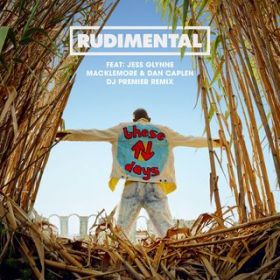 These Days (featD Jess Glynne, Macklemore  Dan Caplen) [DJ Premier Remix] / Rudimental