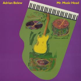Ao - MrD Music Head / Adrian Belew