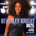 Beverley Knight̋/VO - Now or Never