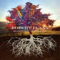 Ao - Digging Deep: Subterranea / Robert Plant