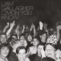 Ao - CfMON YOU KNOW / Liam Gallagher