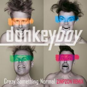Crazy Something Normal (Zimpzon Remix) [Radio Edit] / donkeyboy