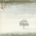 Ao - Wind  Wuthering (2007 Remaster) / Genesis