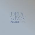 Ao - Wings (Nu:Logic Remix) [Edit] / Birdy