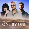 Robin Schulz & Topic̋/VO - One By One (feat. Oaks) [Andromedik Remix]