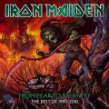 アルバム - From Fear to Eternity: The Best of 1990 - 2010 / Iron Maiden