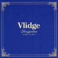 Ao - PERSPECTIVE `VLIDGE THE BEST` / Vlidge