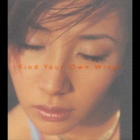 Ao - Find Your Own Wings / ؎ї