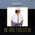 Ao - Big Artist Best Collection^ēc / ēc