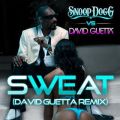 Sweat iSnoop Dogg vsD David Guettaj [Remix]