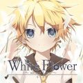 Ao - White Flower`all my Love` / LbhP